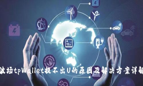 波场tpWallet提不出U的原因及解决方案详解