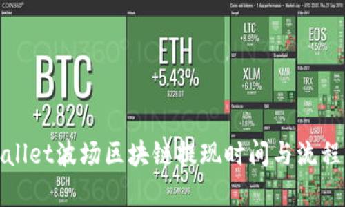 tpWallet波场区块链提现时间与流程详解