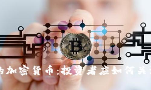 观察期的加密货币：投资者应如何关注与分析