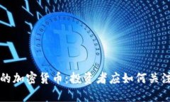观察期的加密货币：投资者应如何关注与分析