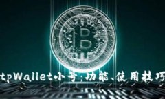 全面解析tpWallet小号：功能、使用技巧与安全性