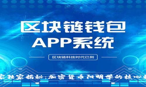 专家独家揭秘：加密货币阳明学的核心秘诀