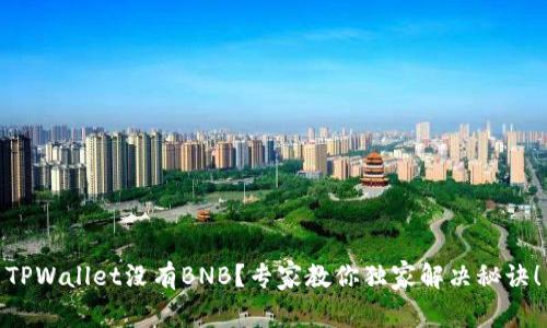 TPWallet没有BNB？专家教你独家解决秘诀！