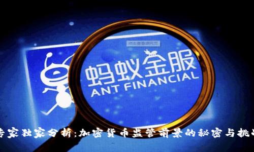 专家独家分析：加密货币监管前景的秘密与挑战