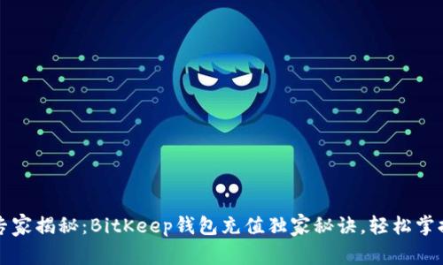 专家揭秘：BitKeep钱包充值独家秘诀，轻松掌握