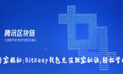 专家揭秘：BitKeep钱包充值独家秘诀，轻松掌握