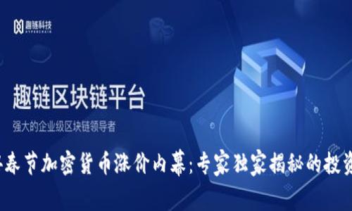 2024春节加密货币涨价内幕：专家独家揭秘的投资秘诀