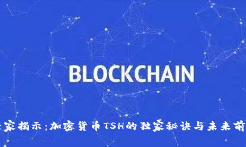 专家揭示：加密货币TSH的独家秘诀与未来前景