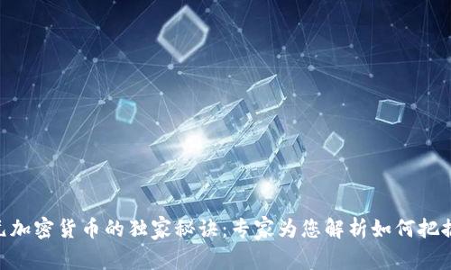 揭开130元加密货币的独家秘诀：专家为您解析如何把握投资机遇