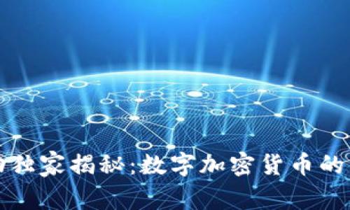 字节跳动独家揭秘：数字加密货币的专家秘诀