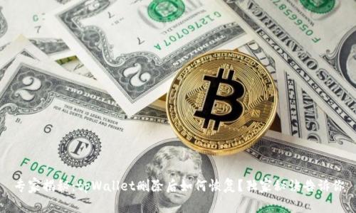 专家揭秘：tpWallet删除后如何恢复？独家秘诀告诉你
