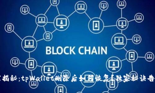 专家揭秘：tpWallet删除后如何恢复？独家秘诀告诉你