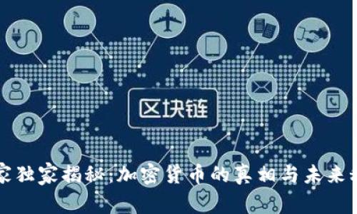 专家独家揭秘：加密货币的真相与未来秘诀