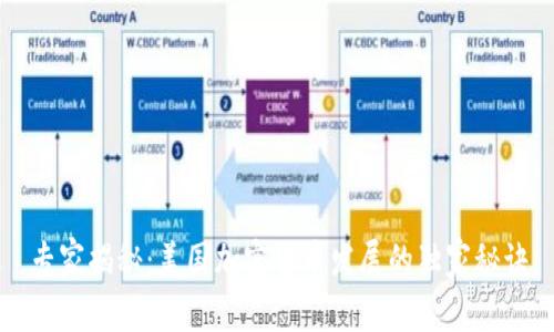 专家揭秘：美国加密货币发展的独家秘诀