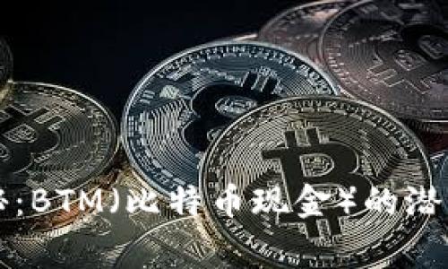 专家独家揭秘：BTM（比特币现金）的潜力及投资秘诀