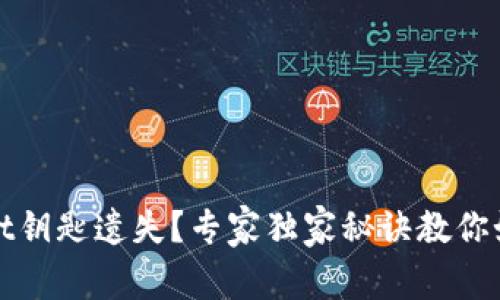 tpWallet钥匙遗失？专家独家秘诀教你如何找回