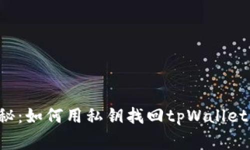 专家独家揭秘：如何用私钥找回tpWallet的钱包资产？