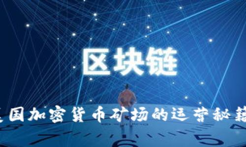 独家揭秘：美国加密货币矿场的运营秘籍与专家观点