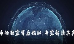 新加坡放弃加密货币的独家背后揭秘：专家解读