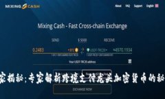 独家揭秘：专家解析跨境支付龙头加密货币的秘