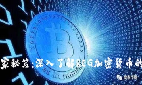 揭示专家独家秘笈：深入了解REG加密货币的发展与应用
