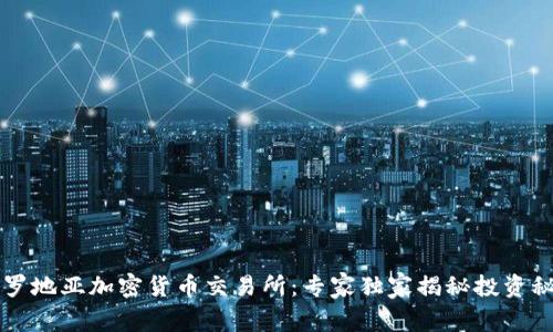 克罗地亚加密货币交易所：专家独家揭秘投资秘诀