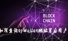 专家揭秘：如何查询tpWallet地址背后用户的独家秘