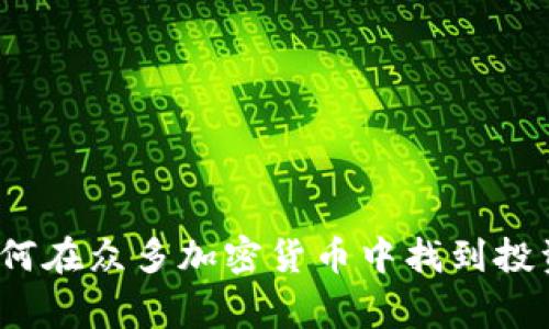 专家揭秘：如何在众多加密货币中找到投资的独家秘诀