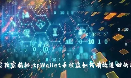 专家独家揭秘：tpWallet币被盗如何有效追回的秘诀