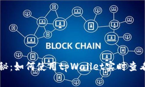 专家独家揭秘：如何使用tpWallet实时查看行情的秘诀