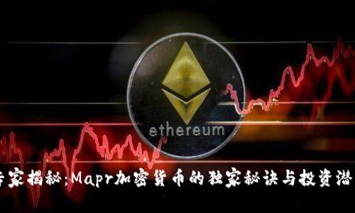 专家揭秘：Mapr加密货币的独家秘诀与投资潜力