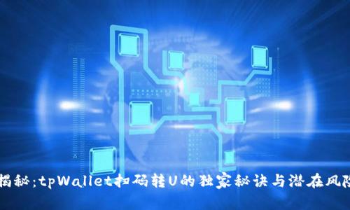 专家揭秘：tpWallet扫码转U的独家秘诀与潜在风险分析