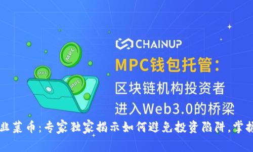 揭秘tpWallet韭菜币：专家独家揭示如何避免投资陷阱，掌握长久收益秘诀