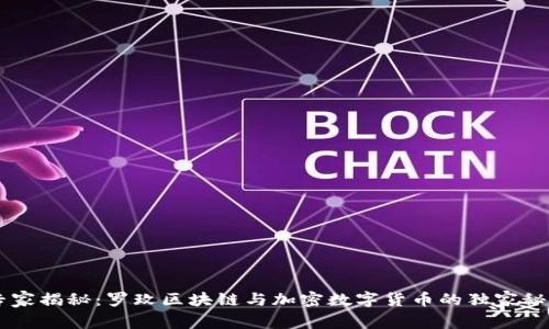 专家揭秘：罗玫区块链与加密数字货币的独家秘笈