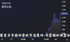 加密货币市场的实时市值变化：专家揭秘独家秘