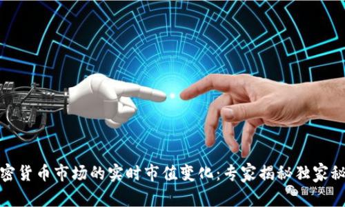 加密货币市场的实时市值变化：专家揭秘独家秘诀