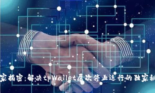 专家揭密：解决tpWallet屡次停止运行的独家秘诀