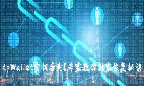 tpWallet密钥丢失？专家教你独家恢复秘诀