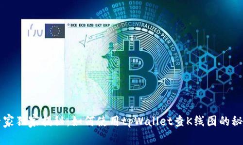 专家独家揭秘：如何使用tpWallet查K线图的秘诀