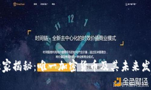 专家独家揭秘：唯一加密货币及其未来发展秘诀