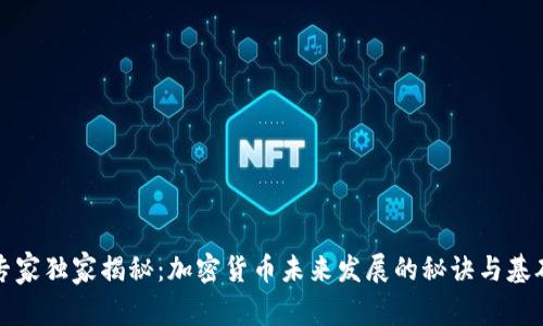 专家独家揭秘：加密货币未来发展的秘诀与基础