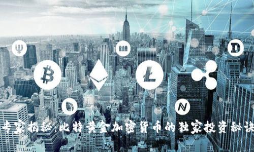 专家揭秘：比特黄金加密货币的独家投资秘诀