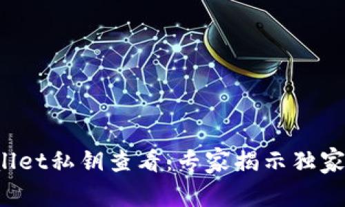 tpWallet私钥查看：专家揭示独家秘诀！