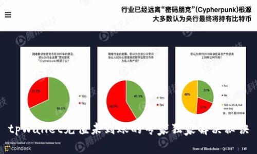 tpWallet充值未到账的专家独家解决秘诀