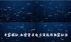 专家揭秘：加密货币电力消耗的独家秘诀