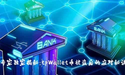 专家独家揭秘：tpWallet币被盗后的应对秘诀