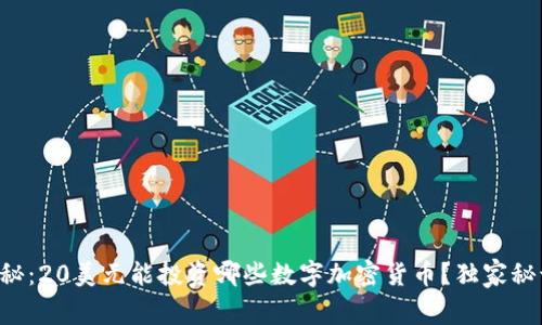 专家揭秘：20美元能投资哪些数字加密货币？独家秘诀分享！