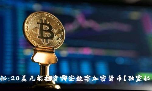 专家揭秘：20美元能投资哪些数字加密货币？独家秘诀分享！