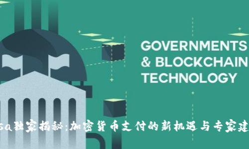 Visa独家揭秘：加密货币支付的新机遇与专家建议