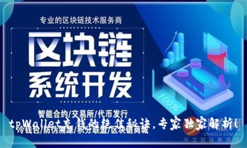 tpWallet充钱的绝佳秘诀，专家独家解析！